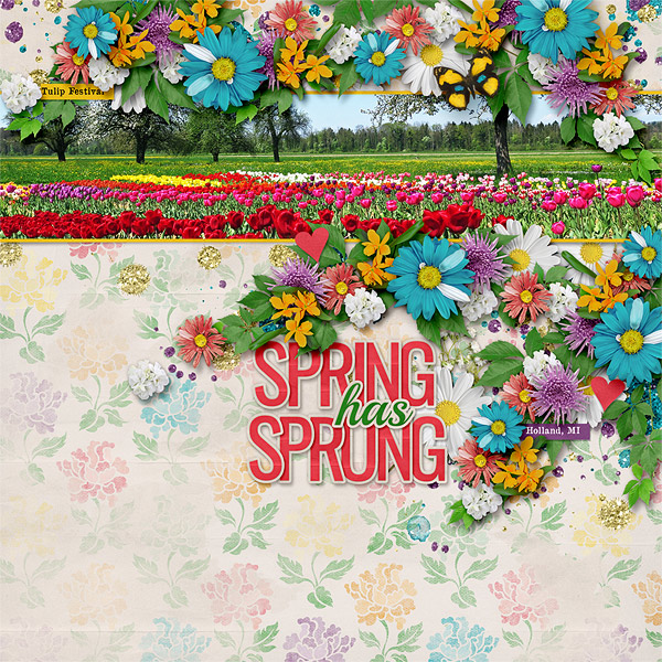 Spring has Sprung
