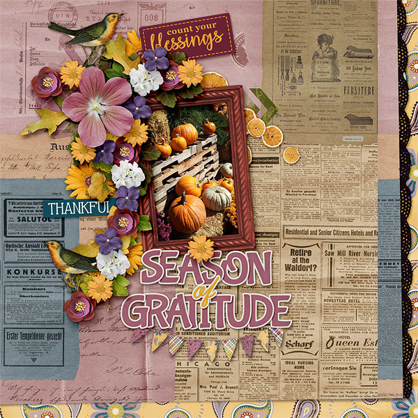 Season of Gratitude

