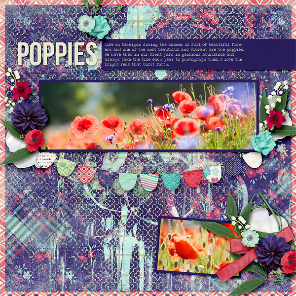 Poppies
