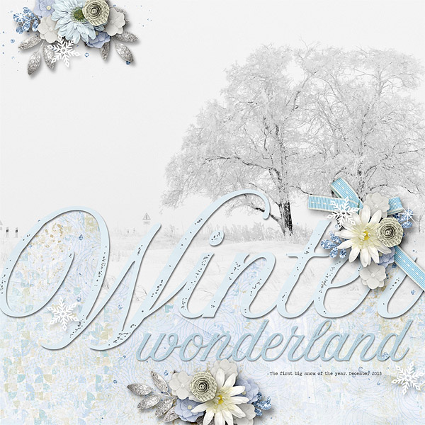 Winter Wonderland
