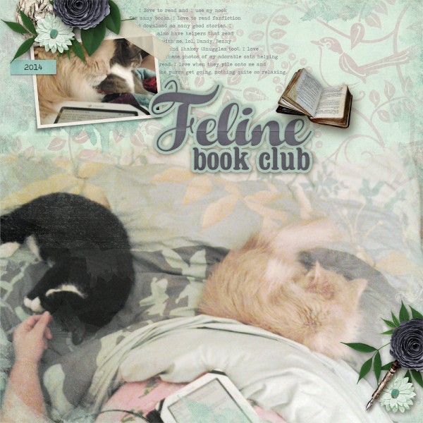 Feline Book Club
My darling cats, Benny and Dandelion back during healthier days. They loved to curl up with me in bed while I read my nook.
Keywords: introspective;2013;cats