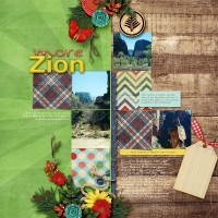 Zion-pg2-hsa-1000.jpg