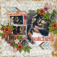aimeeh_PATCHES_pawsclaws_hsa-alittlebitarty3_600.jpg