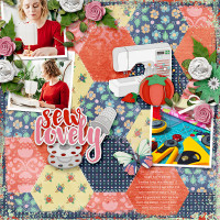 aimeeh_SEWlovely_quiltingbee_HSA-patchworkpieces2_600.jpg