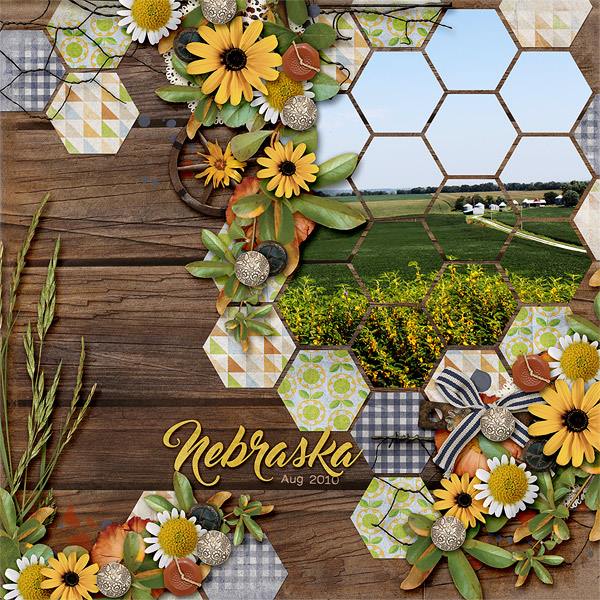Layout by Aimee (template: Sunny Day #4 by Heartstrings Scrap Art)