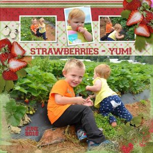 Strawberry Fields - layout by Kathy (template: Lots and Lots #4 by Heartstrings Scrap Art)