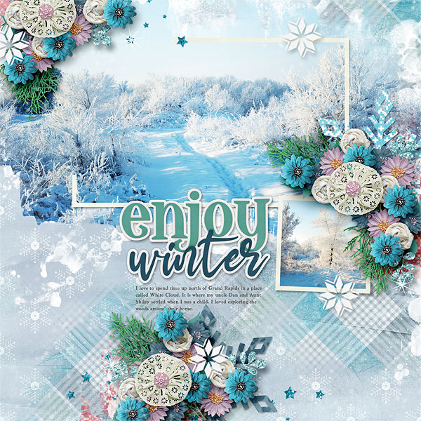 Enjoy Winter 
