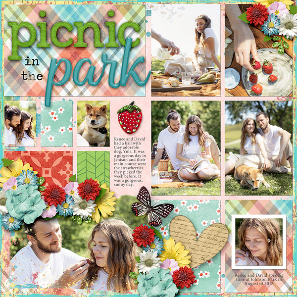 Picnic in the Park
