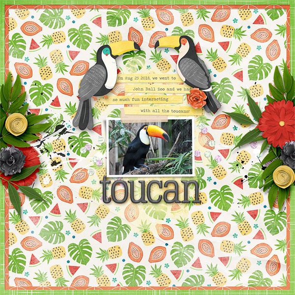 Toucan
