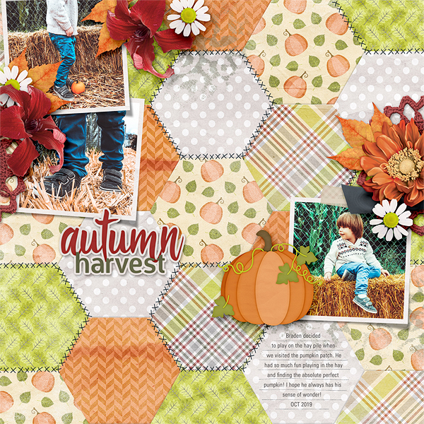 Autumn Harvest 
