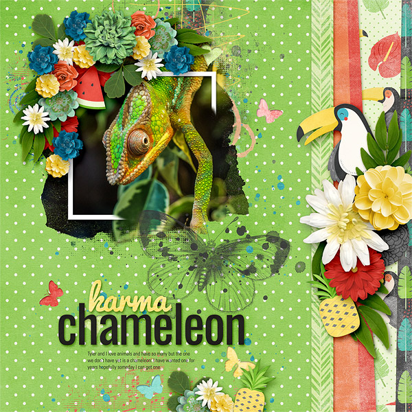 Chameleon
