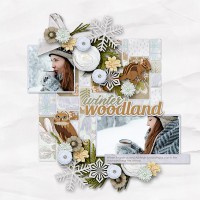 aimeeh-WINTERwoods-winterwoodlands_AHD-patsaplenty4_600.jpg
