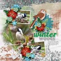 aimeeh_winterWOODS_christmaswoods_HSA-wintersfreeze1_600.jpg