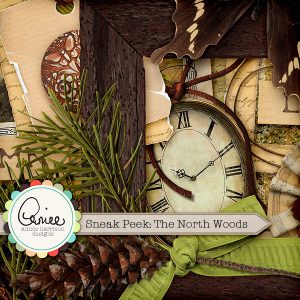 Sneak Peek! The North Woods by Aimee Harrison