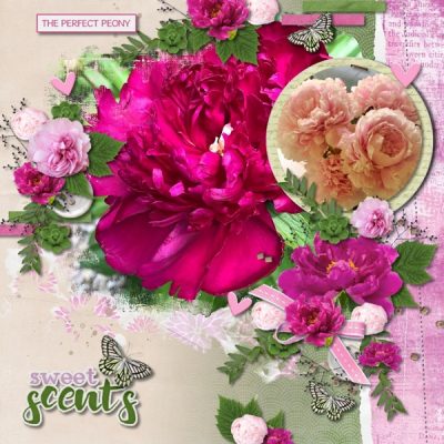 The Perfect Peony Collection and a Freebie! – Aimee Harrison Designs