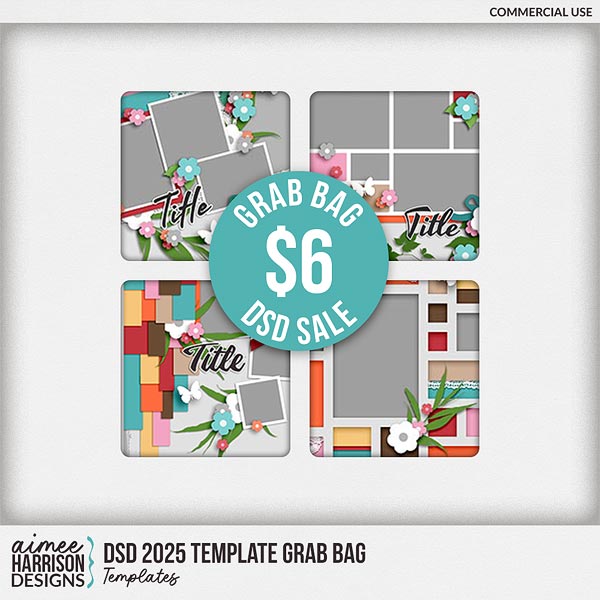 aimeeh-DSD2025GB-tmp